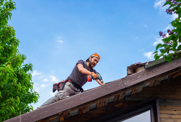 Best Metal Roofing Installation  in Chester, VA